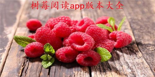 树莓阅读改名叫什么了