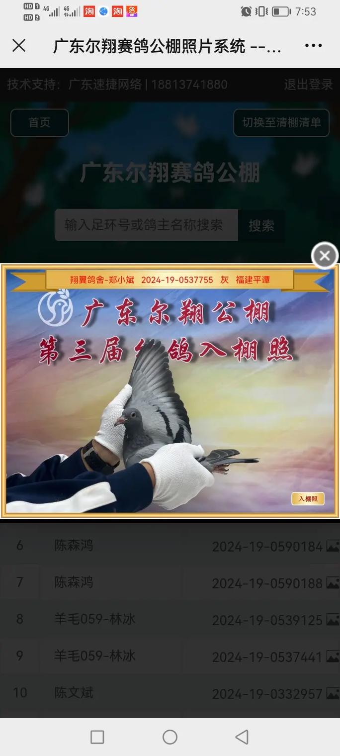 广东速捷赛鸽查询