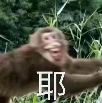猴子表情图片