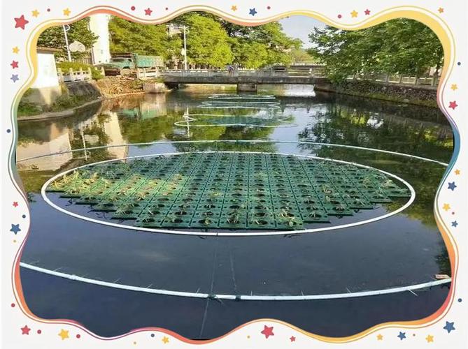 水生植物栽植施工方案