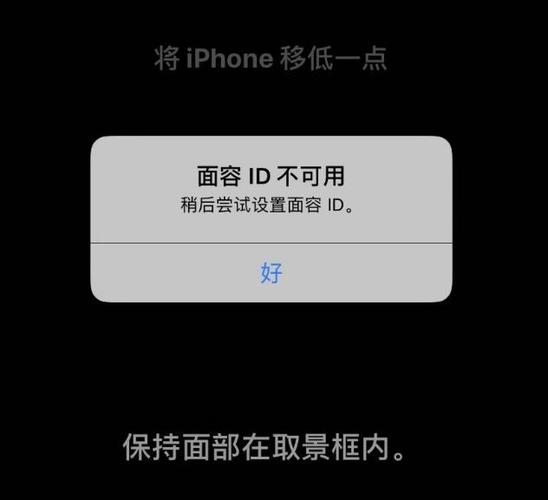 xr面部识别一直转圈截图3