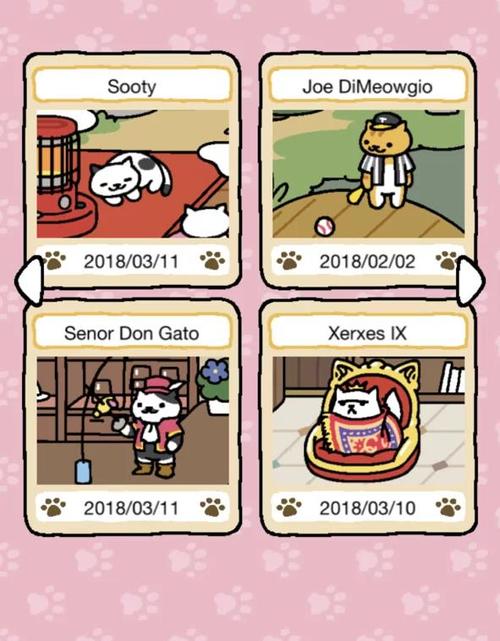 猫咪后院最新版图鉴