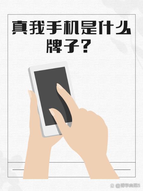 真我属于什么档次