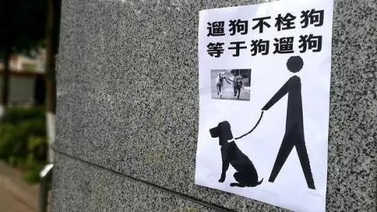 多少度不适合遛狗