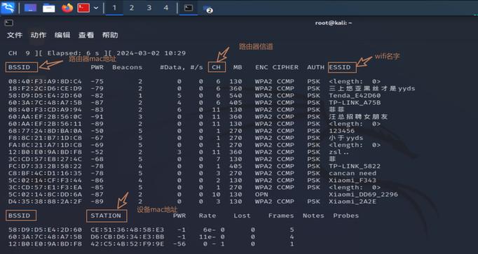 使用kali的后果