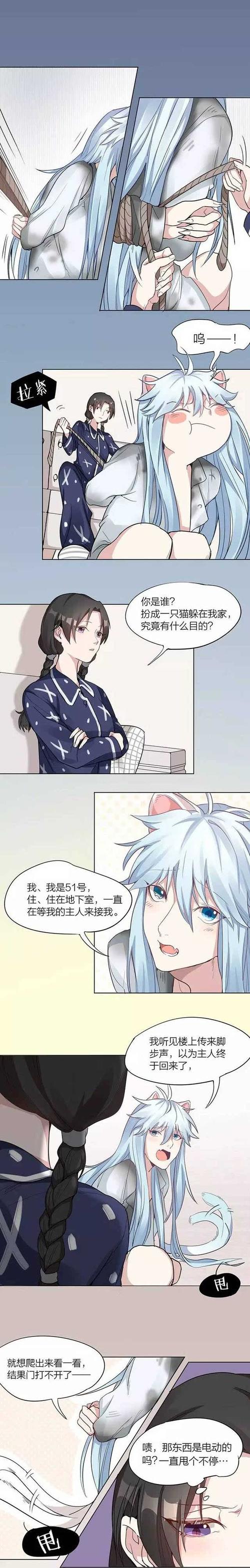 宠物王国龙云一全宠物属性变态版