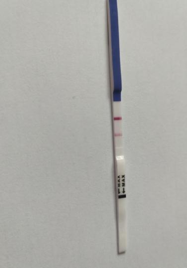 怀孕的试纸显示图片