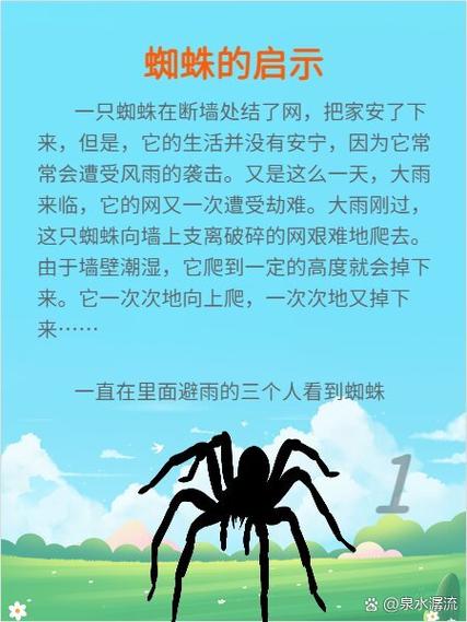 蜘蛛多的地方说明什么