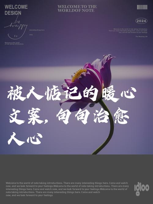 特别治愈人心的文案