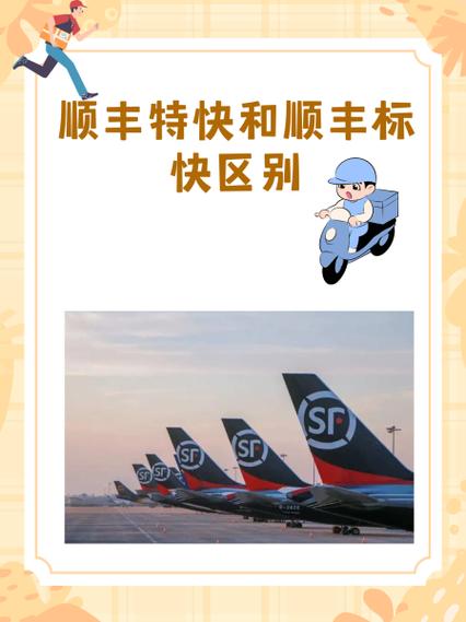 京东和顺丰快递的区别截图2