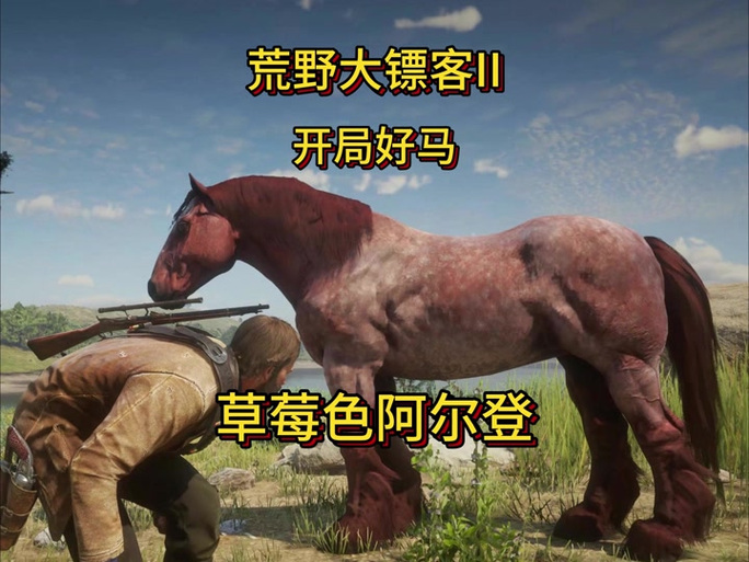 荒野大镖客2偷的马怎么卖