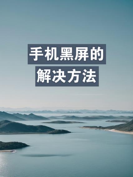 黑鲨黑屏怎么解决