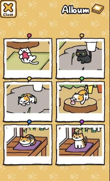 猫咪后院中文无限金币版截图2
