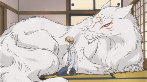 猫老师的照片