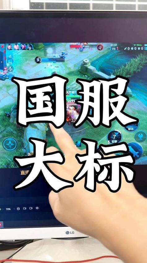 王者小国服图标