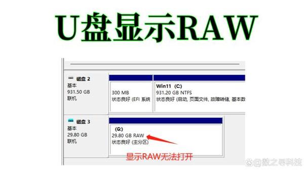 u盘变成了raw无法格式化