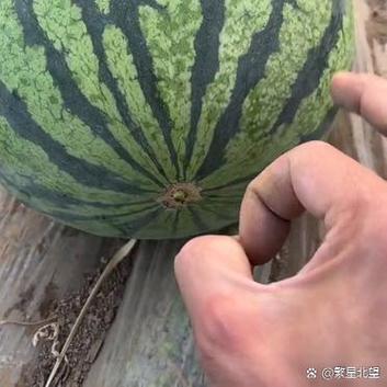 西瓜拍起来是什么声音