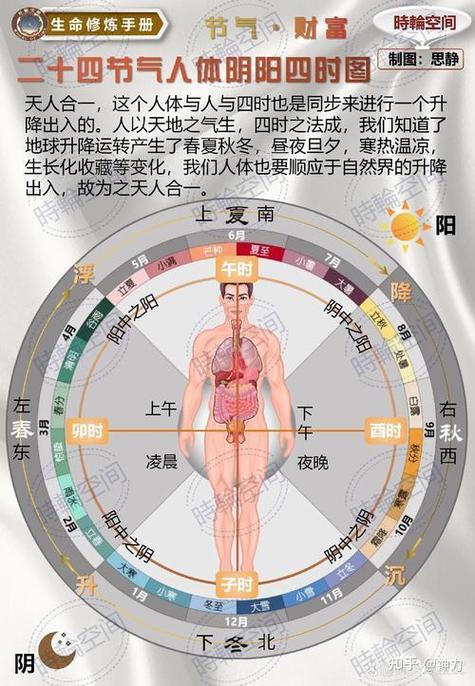 阴阳平衡的人是天道