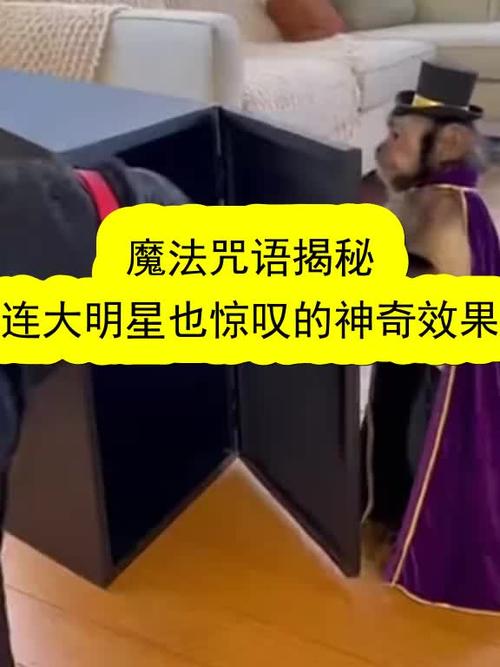 魔法咒语