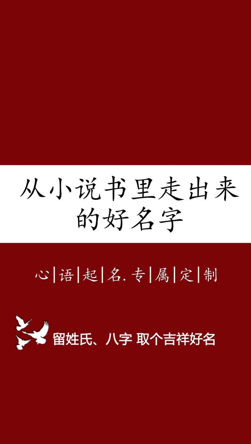 搜书王改名叫什么了
