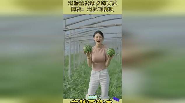 网红西瓜个人资料