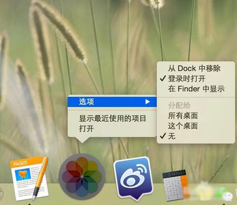 mac开机自动打开软件怎么办