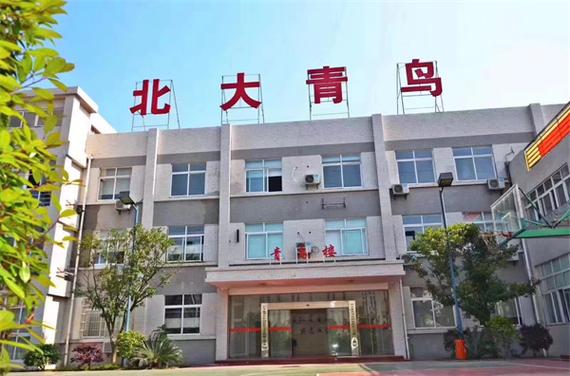 青鸟集团总部在哪