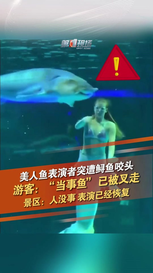 美人鱼的心被吃
