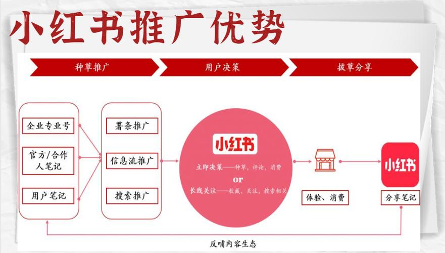 小红书的特点和优势