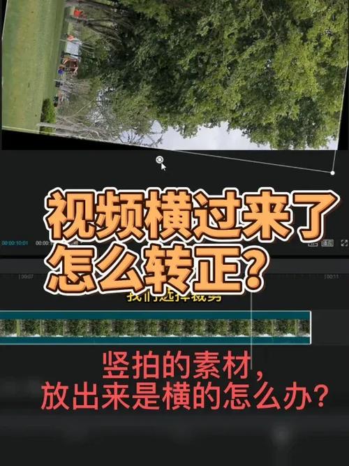 横着拍的视频怎样调竖着