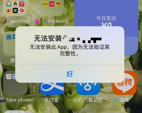苹果手机数据传输后软件无法安装