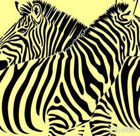 斑马啊斑马是什么歌