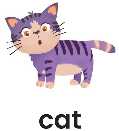 cat代表什么