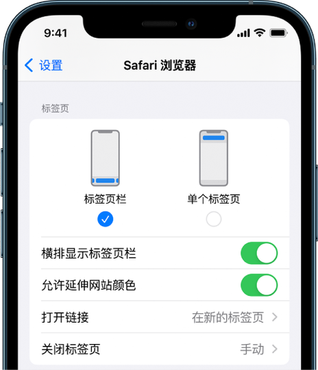 手机safari设置