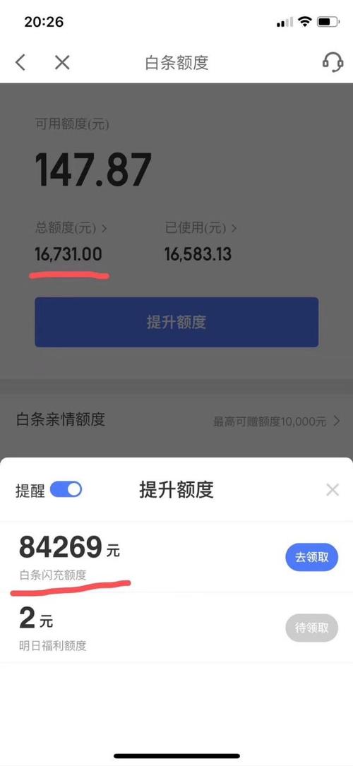 白条有8000额度用不了咋回事