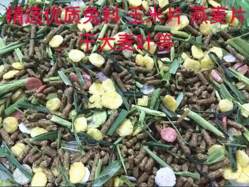 兔子最爱吃的5种粗粮