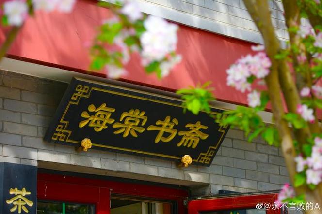 海棠书屋是干嘛的截图2