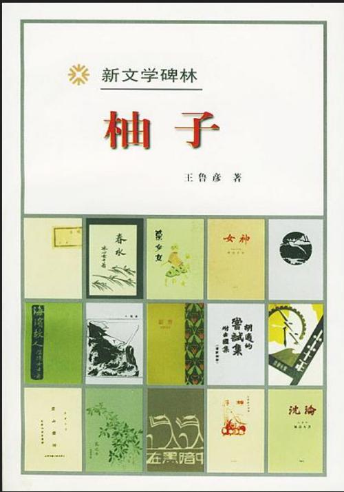 小说柚子
