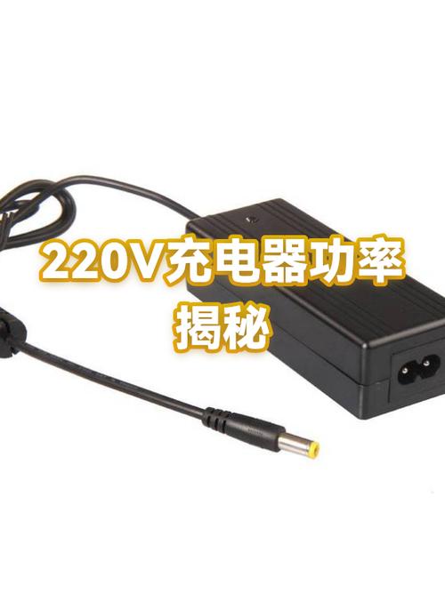 220v充电器截图3