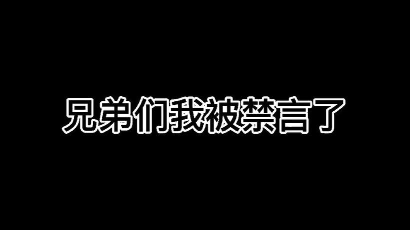 我被禁言了语音