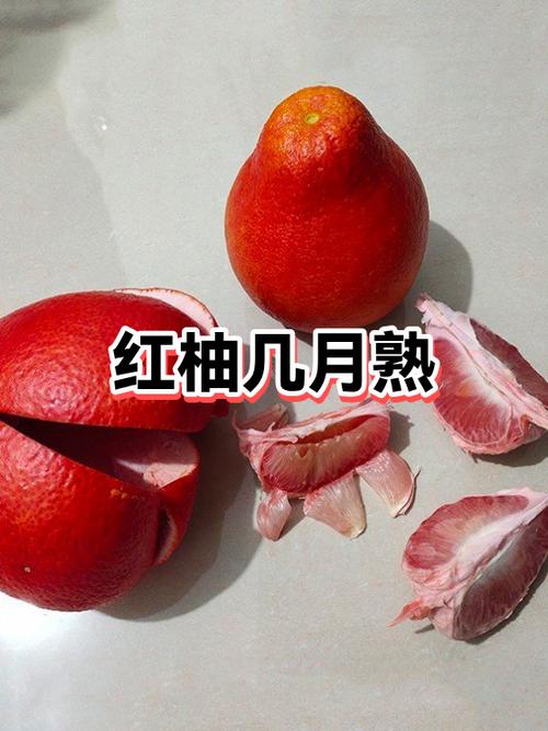 柚子成熟季节是几月