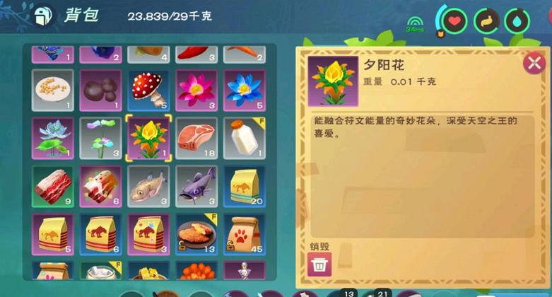 创造与魔法夕阳花位置图