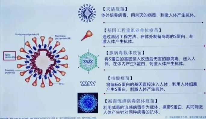 病毒的克星是什么