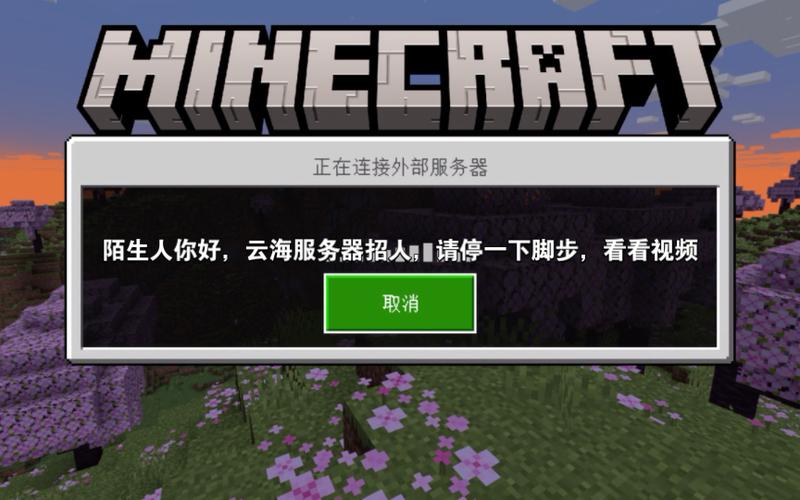 我的世界国际版不能玩服务器
