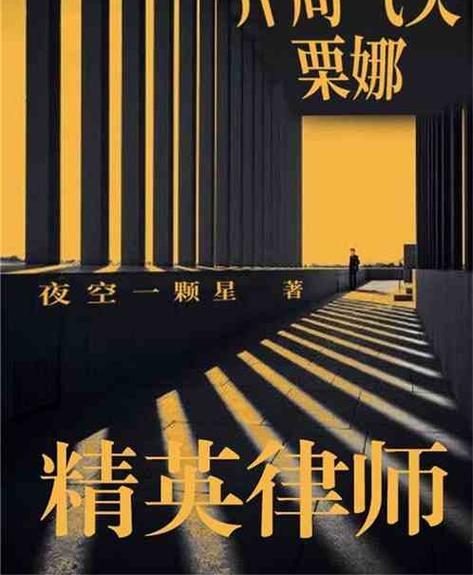 精英律师 小说