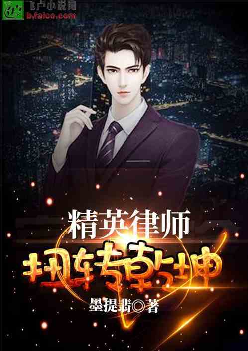 精英律师 小说截图2