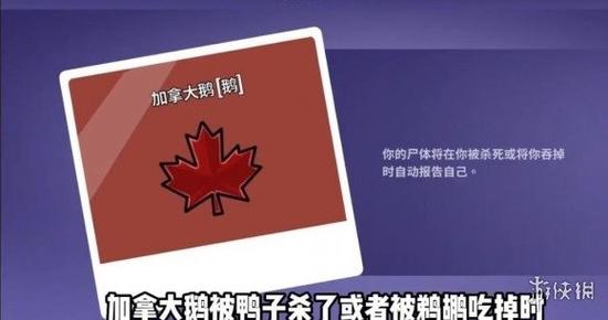 加拿大鹅