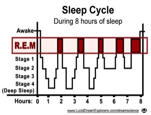 sleep cycle睡眠曲线