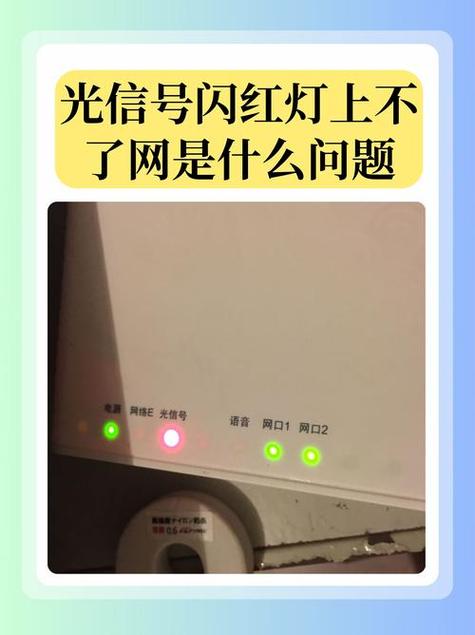 wifi闪绿灯没网络截图2