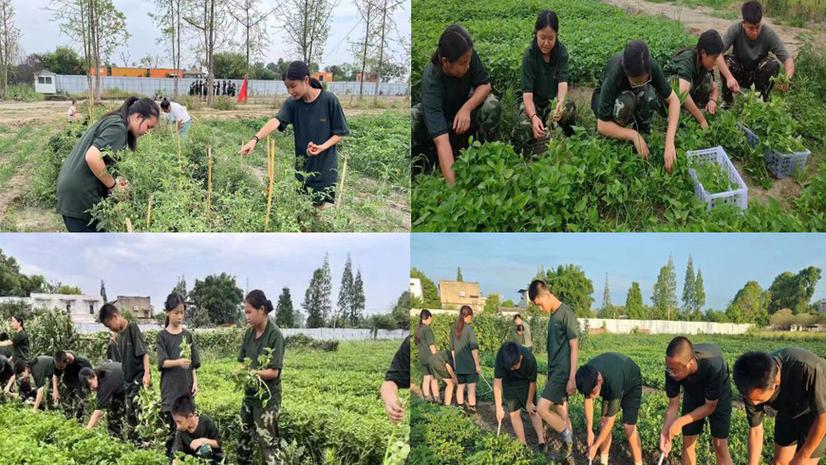 成都心海岸素质教育学校